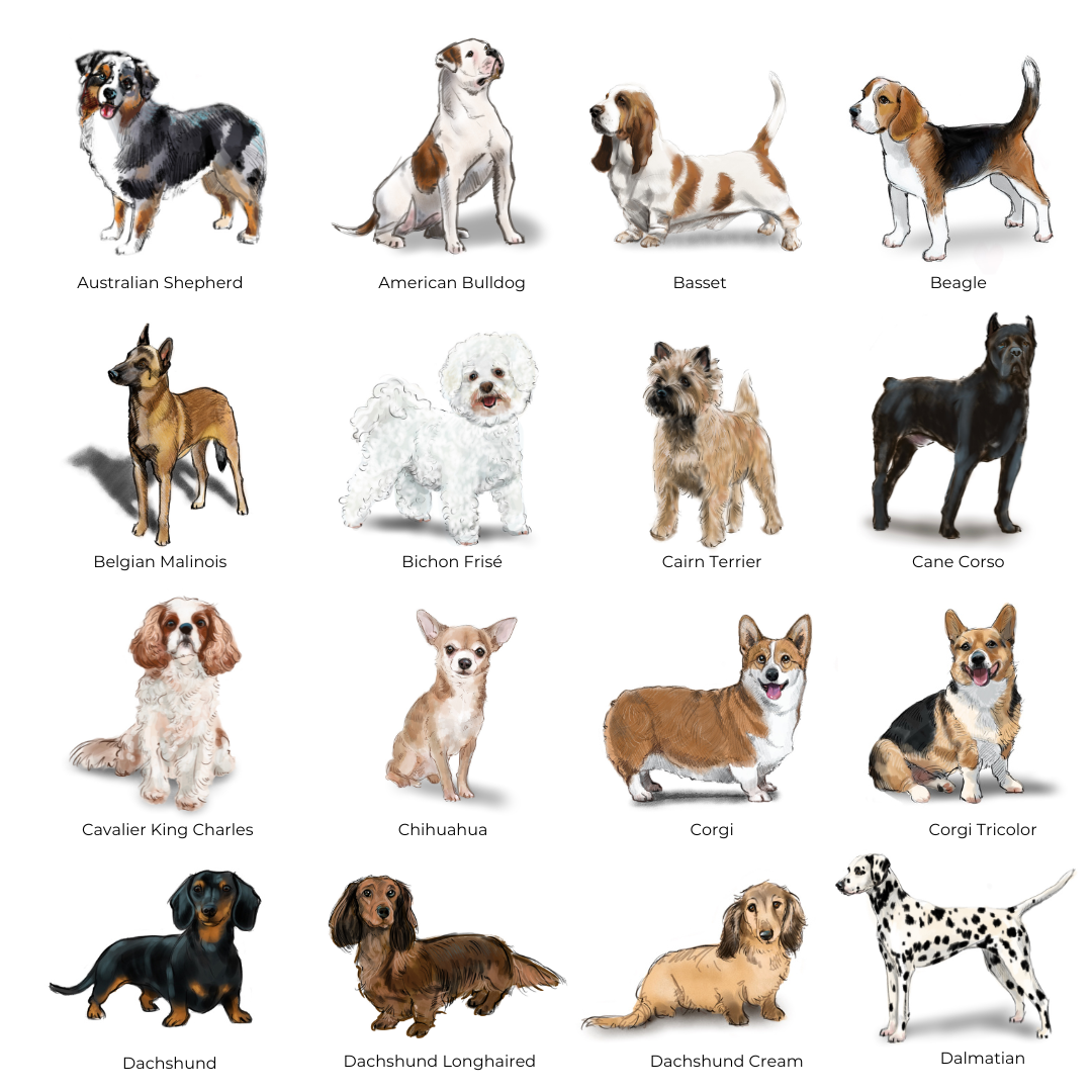 Personalized Dog Note Cards