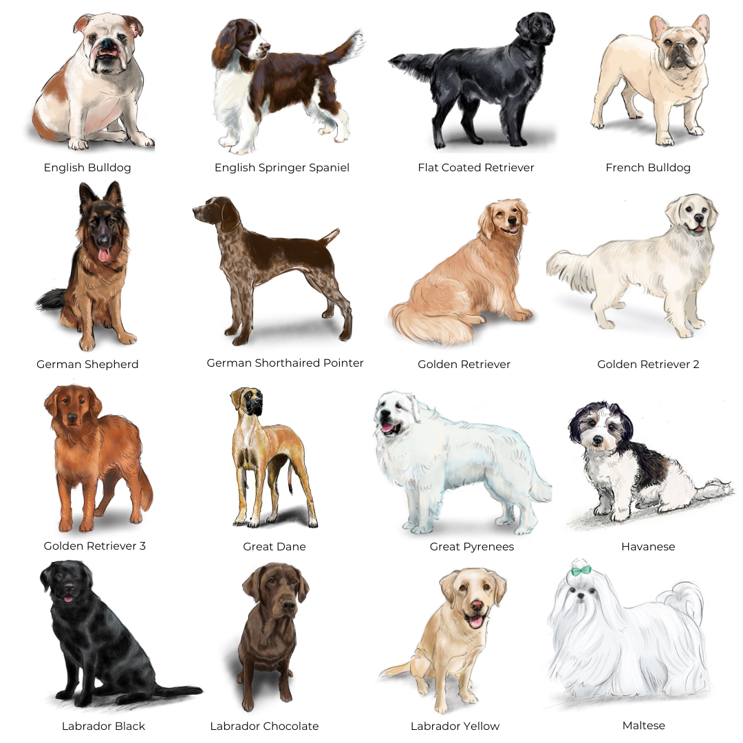 Personalized Dog Note Cards