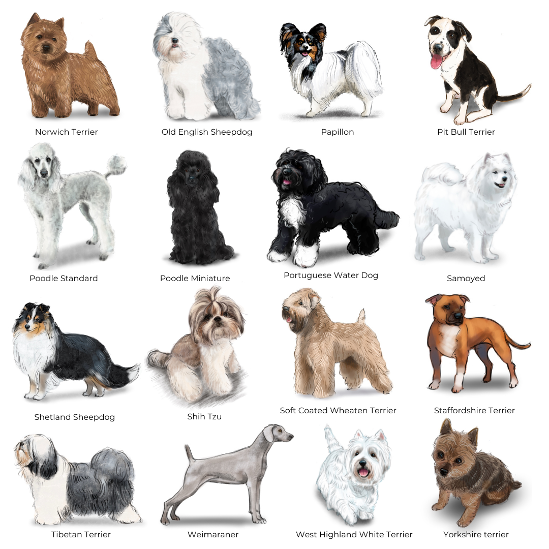Personalized Dog Note Cards