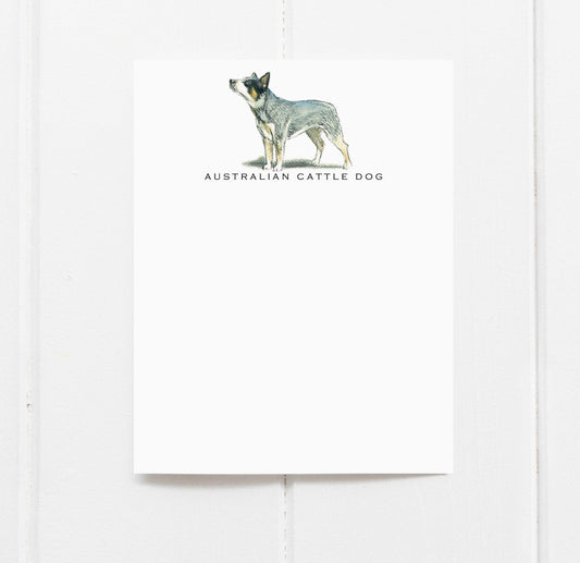 Australian Cattle Dog flat note cards