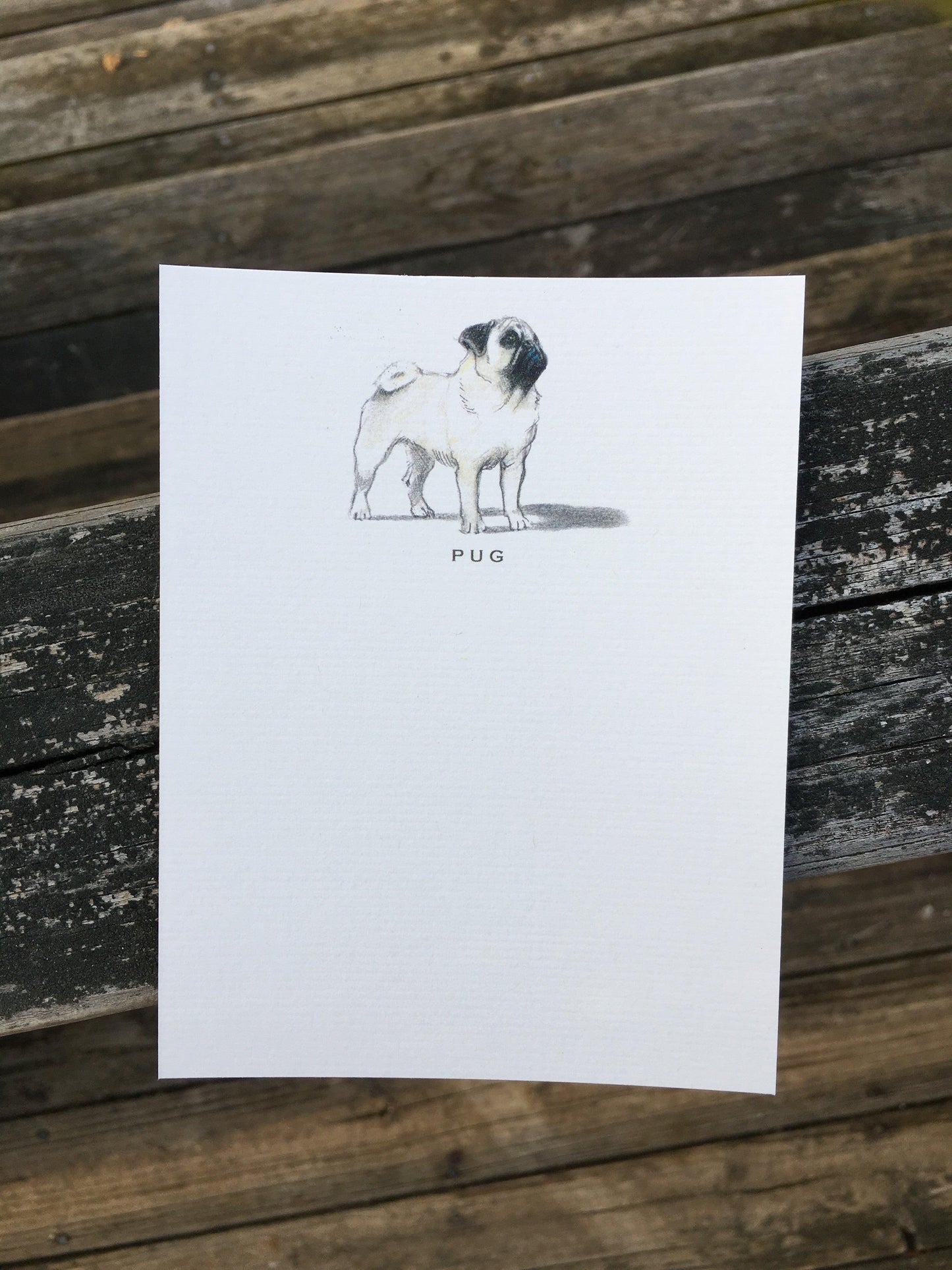 Dog Greeting Card - Fable & Sage