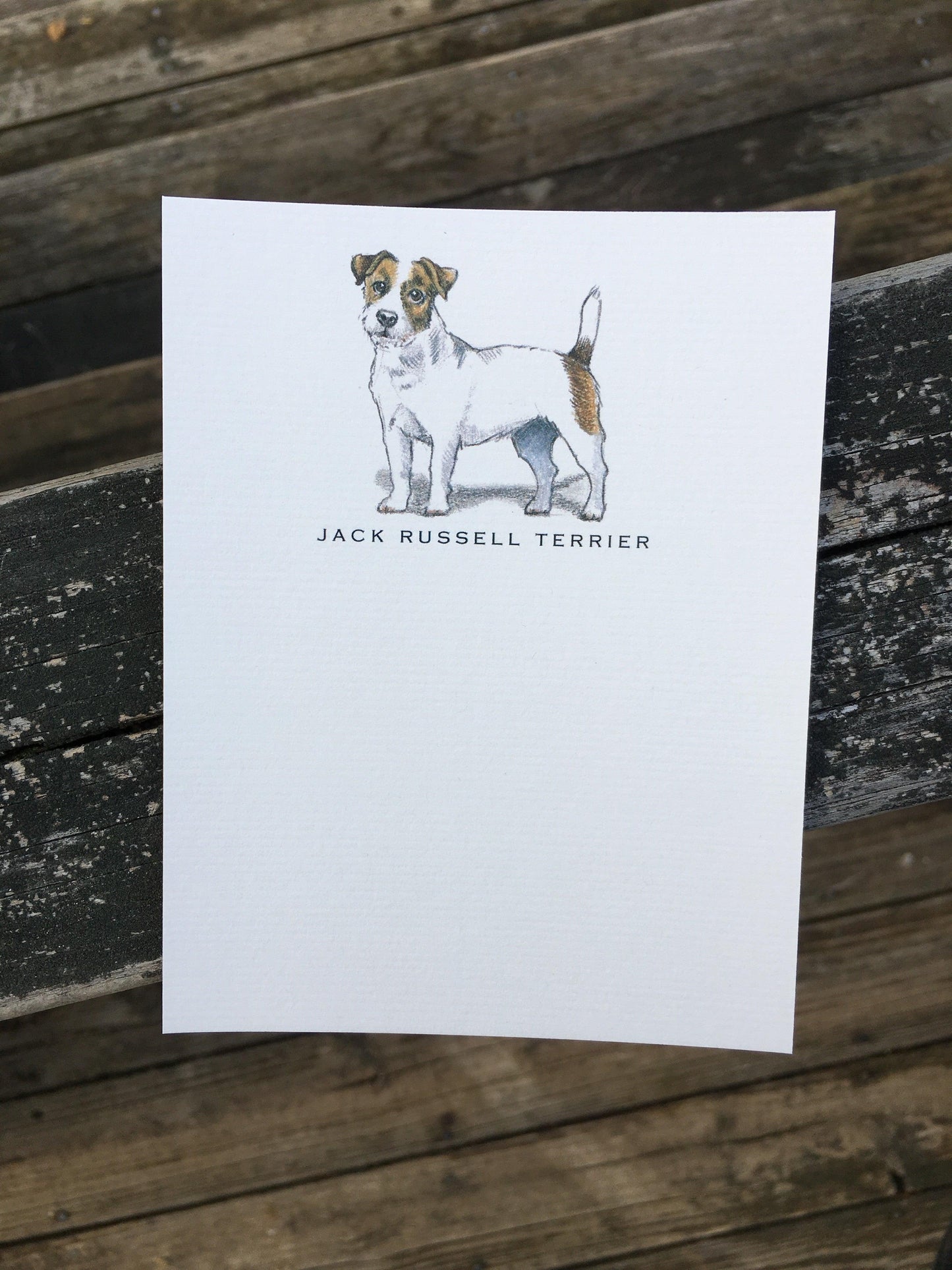 Dog Greeting Card - Fable & Sage