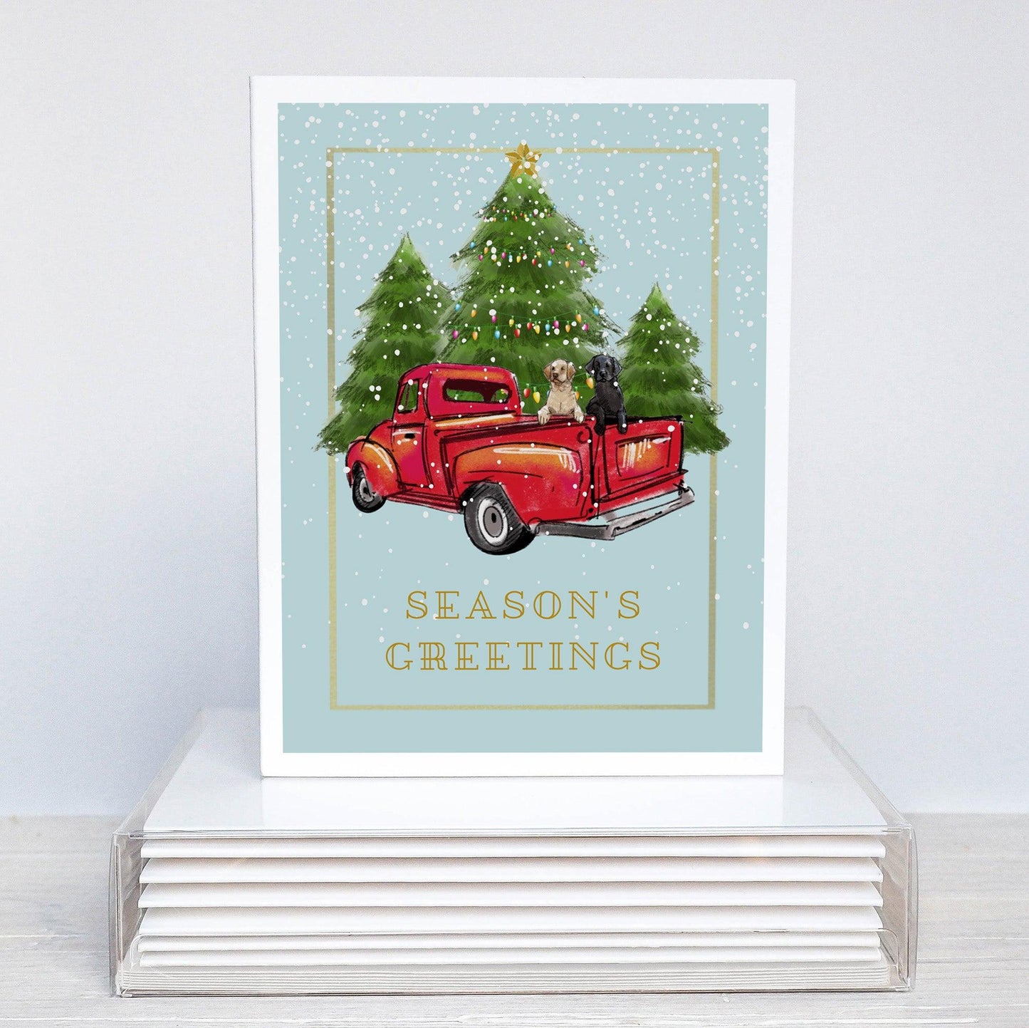 Labrador retrievers in a red truck with christmas trees