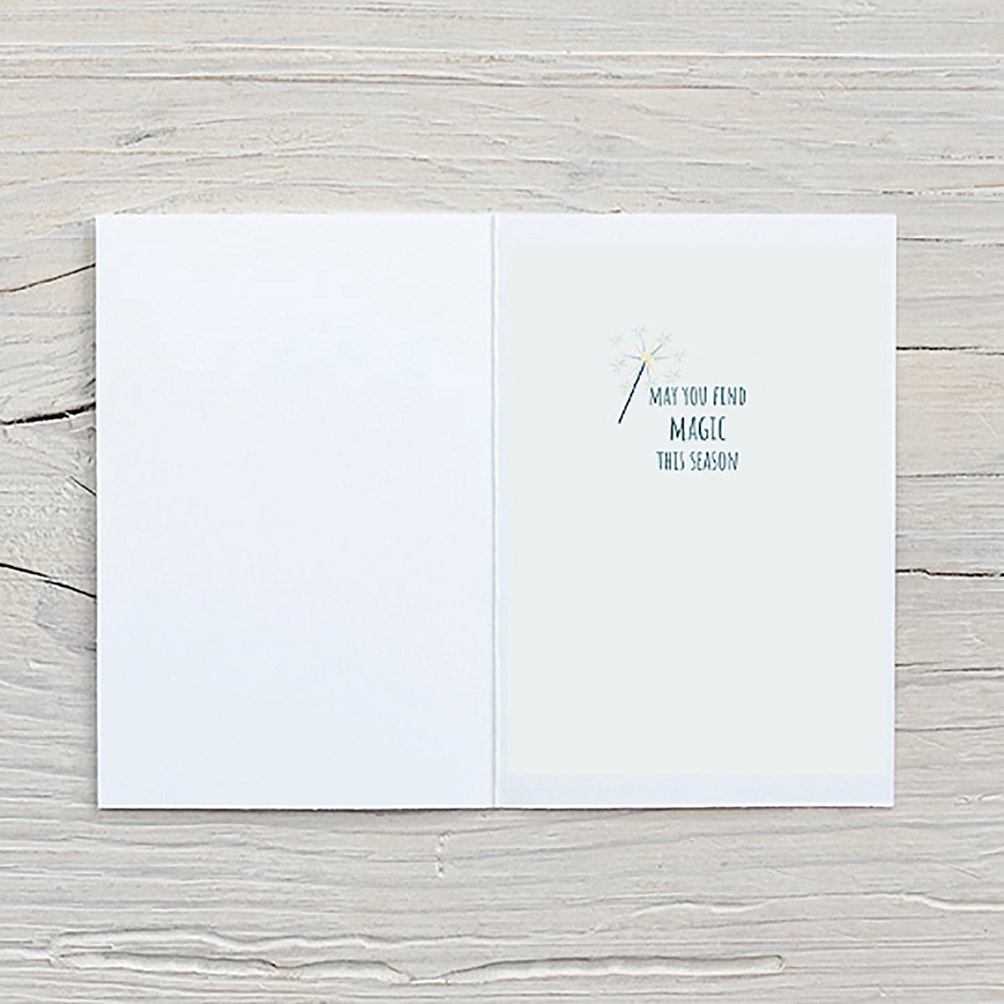 Raccoon Magic Holiday Card | Woodland Raccoon Christmas Card | Magical Woodland Christmas Card