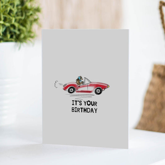 birthday card with dog driving vintage convertible in head scarf and sunglasses