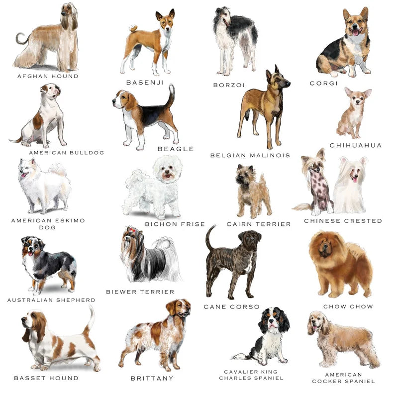 Personalized Dog Note Pads