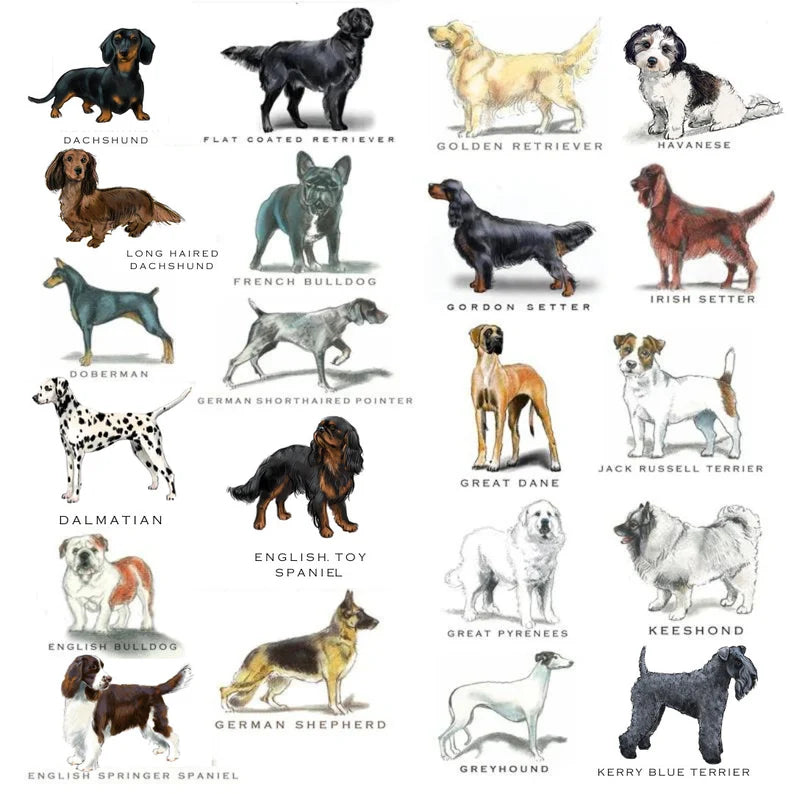 Personalized Dog Note Pads