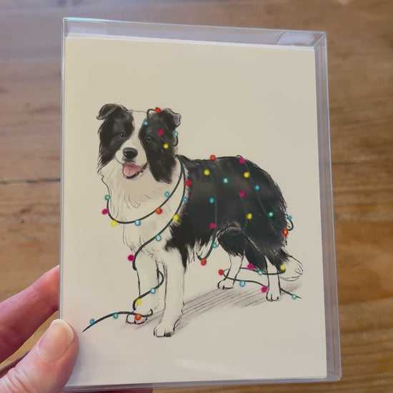 border collie christmas cards