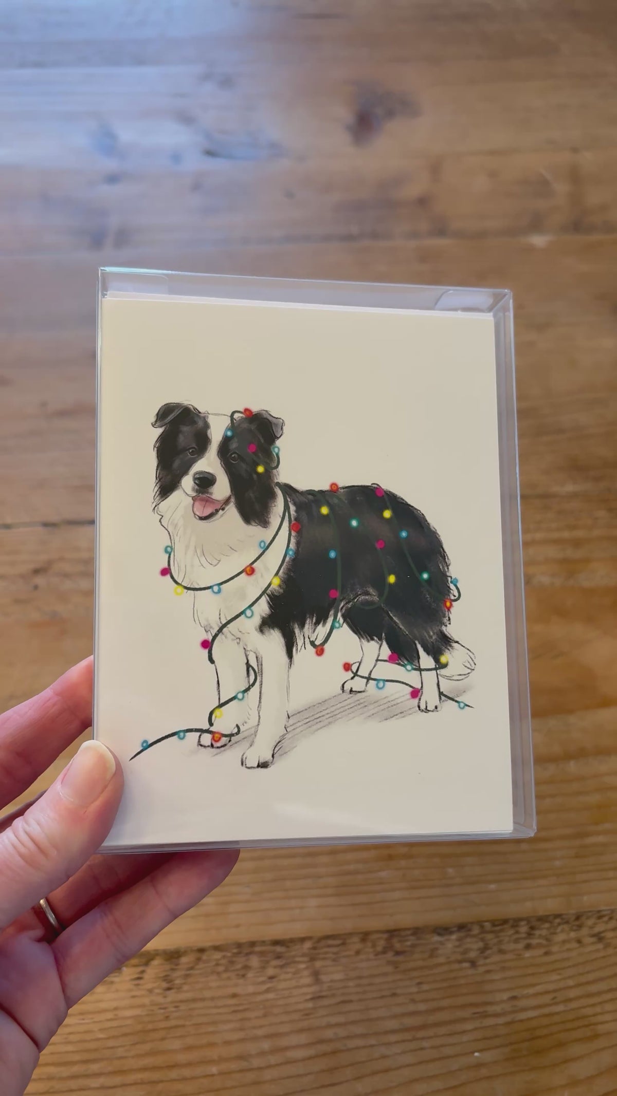 border collie christmas cards