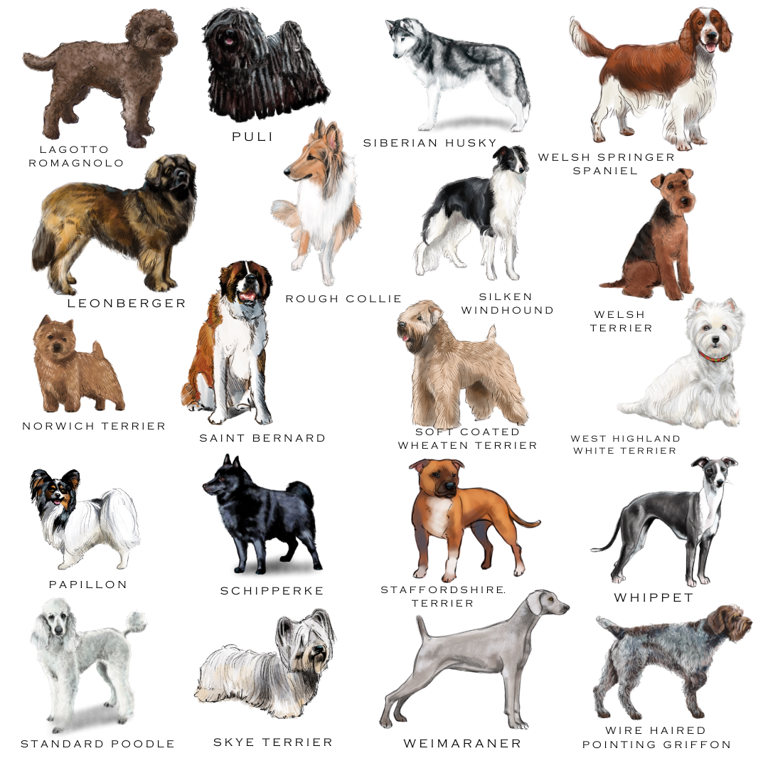 dog breed choices for custom dog note cards