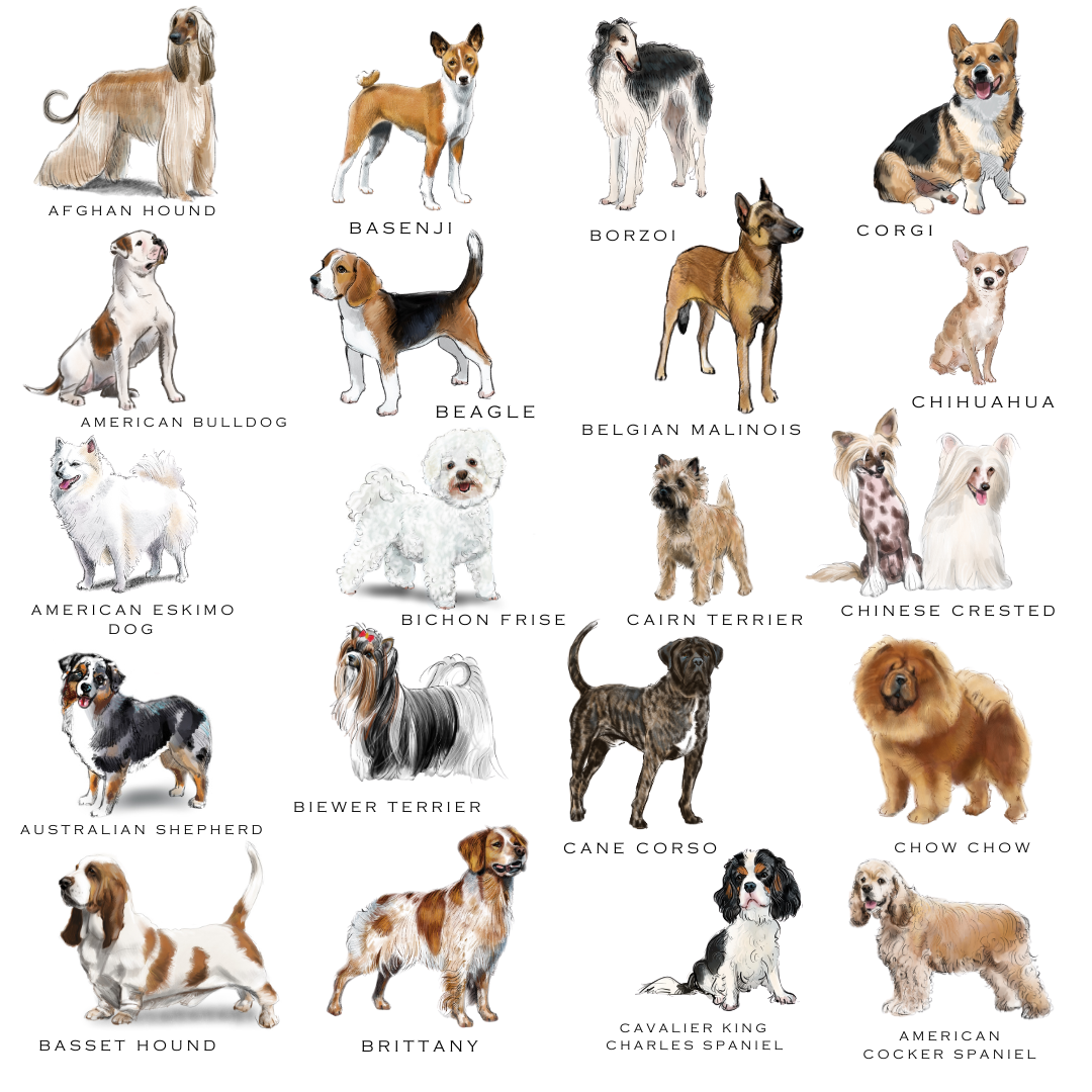 dog breed choices for custom dog note cards