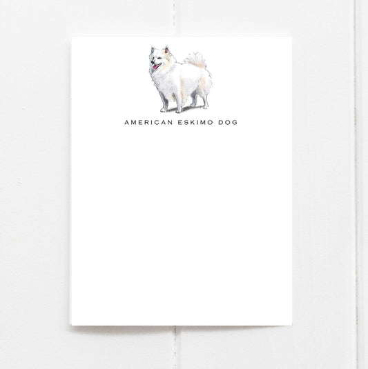 American Eskimo Dog flat note card