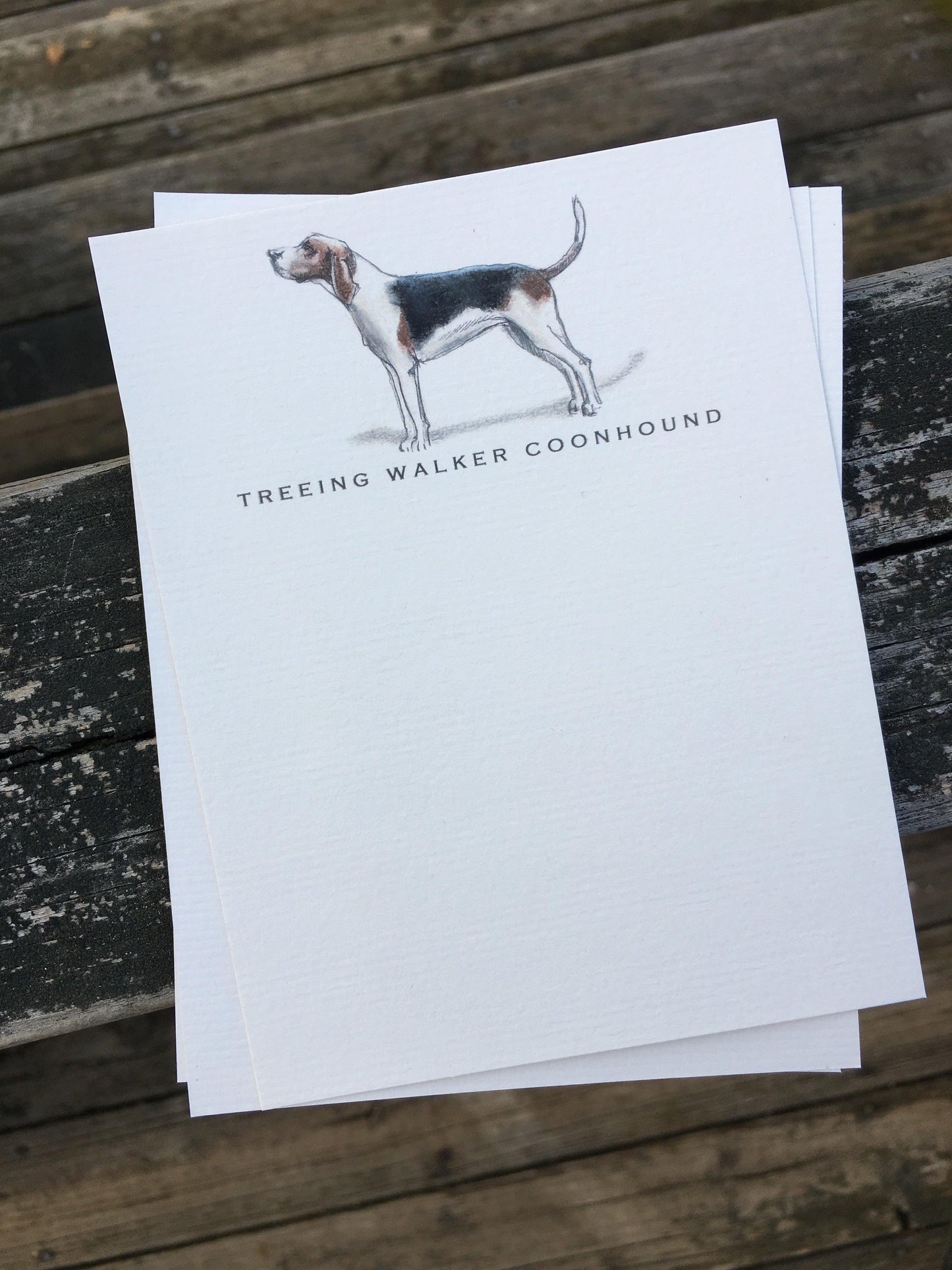 Dog Greeting Card - Fable & Sage