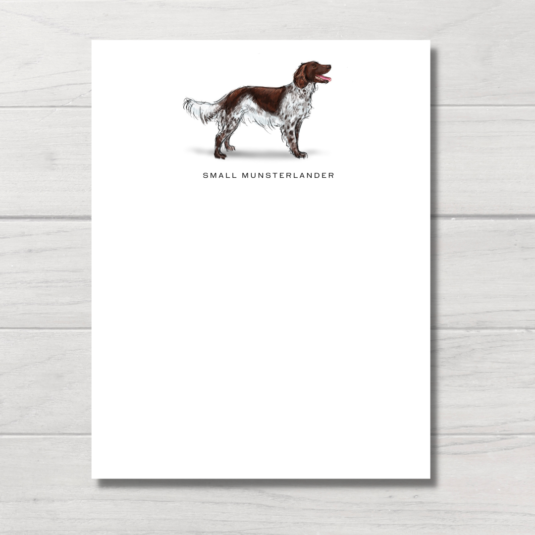 small munsterlander dog note cards