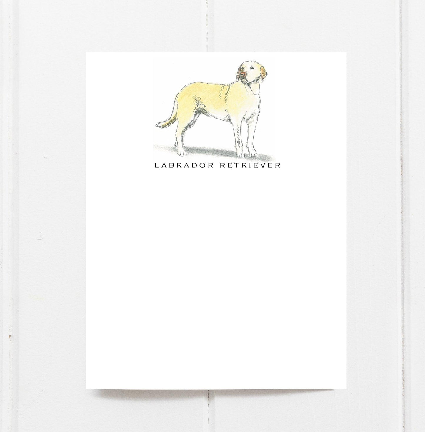 Labrador Retriever (yellow) Note Cards - Fable & Sage